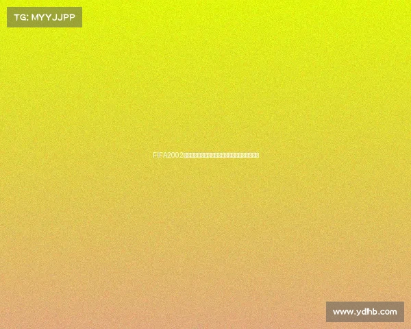 FIFA2002世界杯德国球员黄金阵容回顾与经典瞬间全解析集